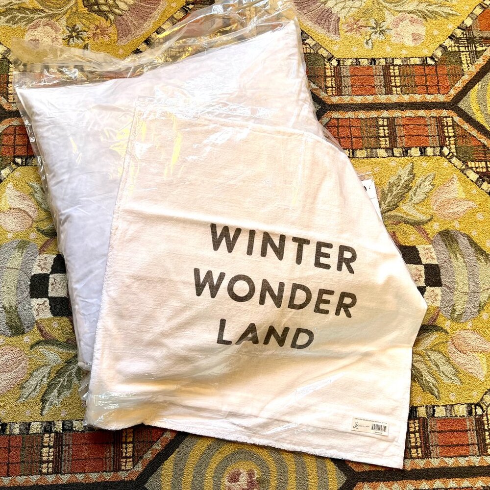 NWT BEST Ever! WINTER WONDER LAND Euro Pillow & Case - Picture 7 of 9